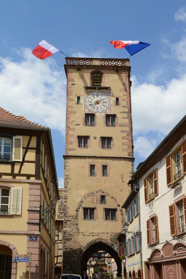 Ribeauville City Center - Gite Des Menetriers, Les Vieilles Vignes - المظهر الخارجي الصورة